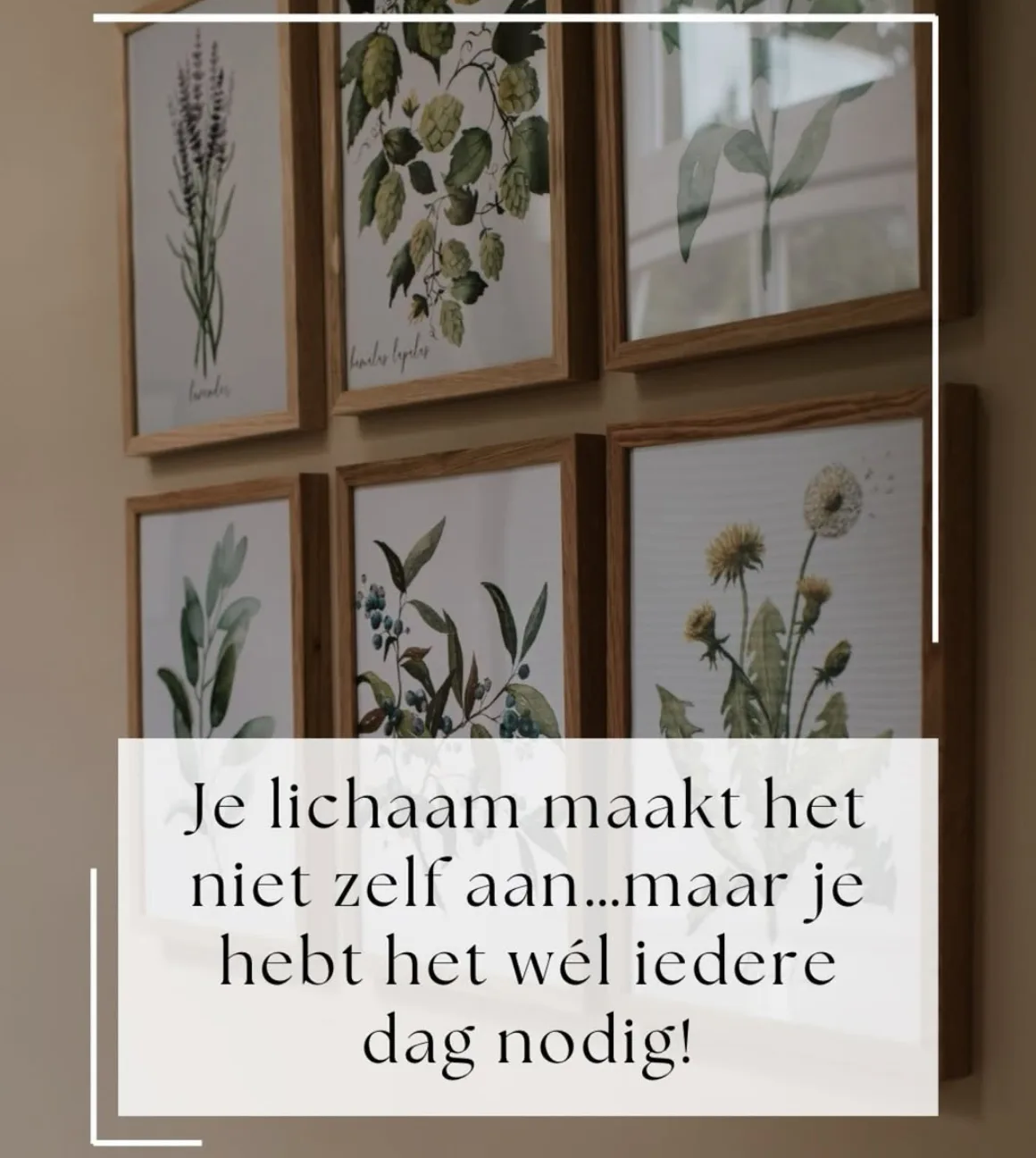 Je lichaam maakt het niet zelf aan, Maar je hebt het wel iedere dag nodig