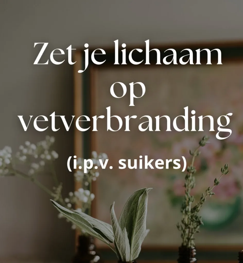 Zet je lichaam op vetverbranding