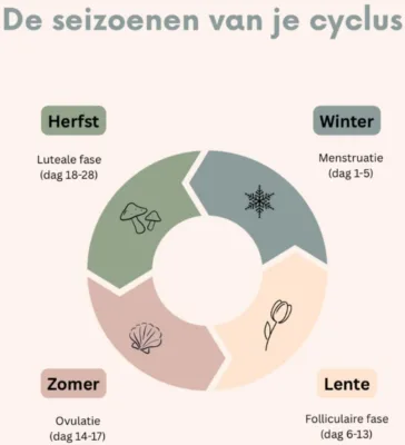 De seizoenen van je cyclus