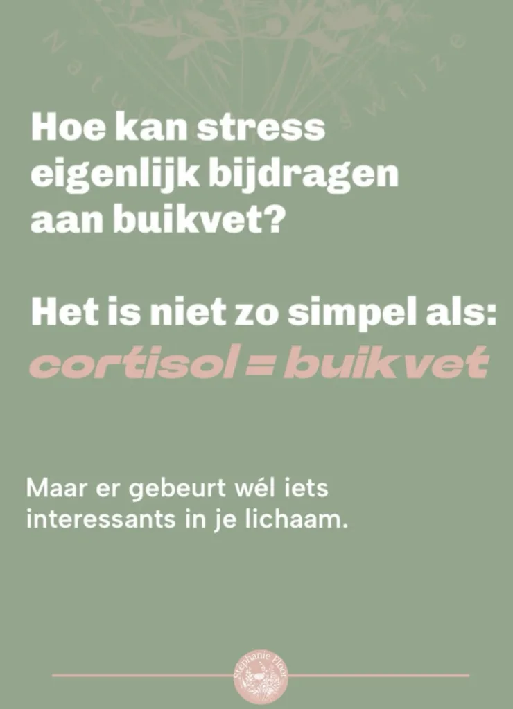 Hoe kan stress eigenlijk bijdagen aan buikvet?